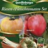 Riesen-/ Fleischtomaten Set (Saatplatte) | Tomatensamen Von Quedlinburger -Garten- Und Outdoor-Geschäfte 542617 Riesen Fleischtomaten Set Saatplatte
