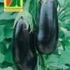 Aubergine Teti F1 | Auberginensamen Von Austrosaat -Garten- Und Outdoor-Geschäfte 543061 Aubergine Teti F1