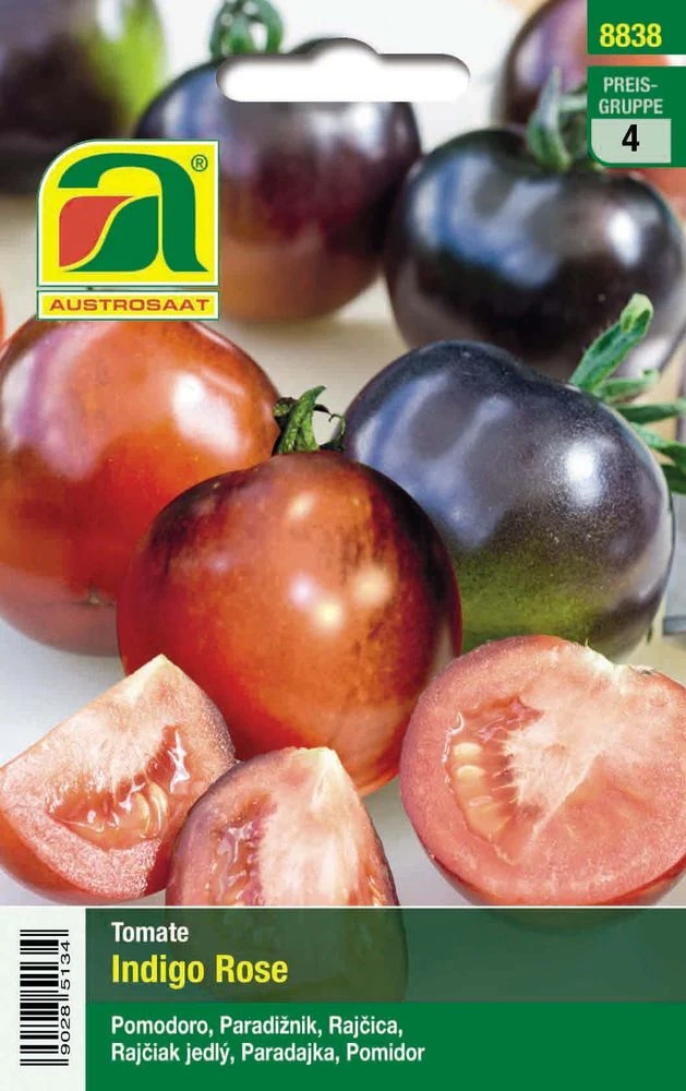 Tomate Indigo Rose | Tomatensamen Von Austrosaat 4 Tomate Indigo Rose | Tomatensamen Von Austrosaat – Bild 2