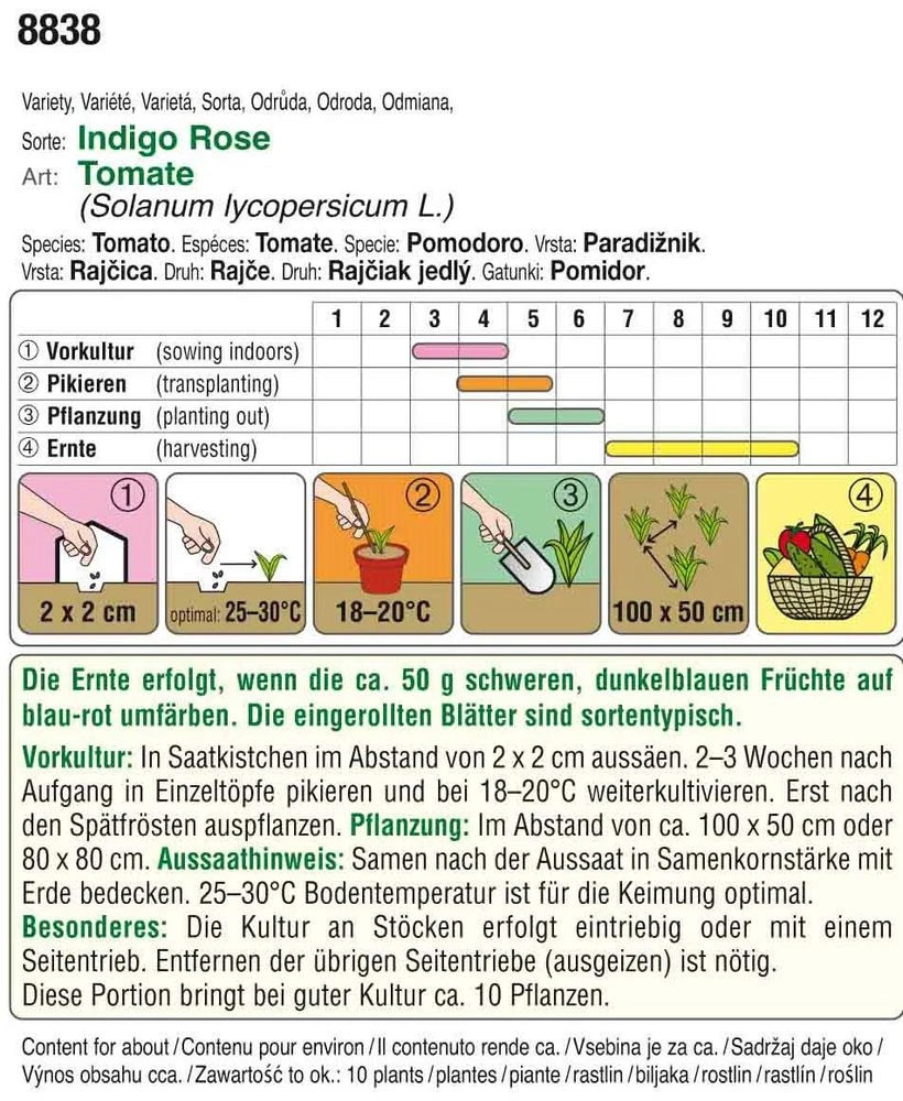 Tomate Indigo Rose | Tomatensamen Von Austrosaat 3 Tomate Indigo Rose | Tomatensamen Von Austrosaat