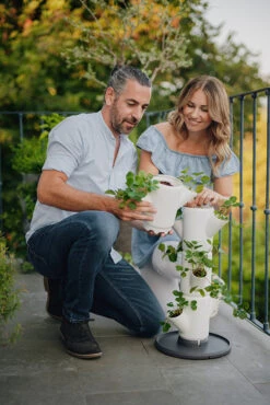 Sissi Strawberry Erdbeerturm Starter Weiß (4 Etagen) | Erdbeertürme Von Gusta Garden -Garten- Und Outdoor-Geschäfte 543337 Sissy Strawberry starter weiss 4 Etagen 5