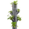 Sissi Strawberry Erdbeerturm Starter Anthrazit (4 Etagen) | Erdbeertürme Von Gusta Garden -Garten- Und Outdoor-Geschäfte 543338 Sissy Strawberry starter anthrazit 4 Etagen