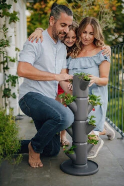 Sissi Strawberry Erdbeerturm Starter Anthrazit (4 Etagen) | Erdbeertürme Von Gusta Garden -Garten- Und Outdoor-Geschäfte 543338 Sissy Strawberry starter anthrazit 4 Etagen 2