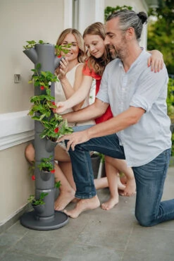 Sissi Strawberry Erdbeerturm Classic Anthrazit (6 Etagen) | Erdbeertürme Von Gusta Garden 11 Sissi Strawberry Erdbeerturm Classic Anthrazit (6 Etagen) | Erdbeertürme Von Gusta Garden -Garten- Und Outdoor-Geschäfte 543340 Sissy Strawberry classic anthrazit 6 Etagen 4