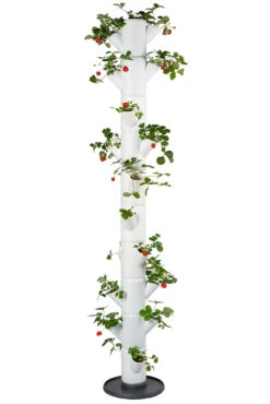 Sissi Strawberry Erdbeerturm Infinity Weiß (10 Etagen) | Erdbeertürme Von Gusta Garden 11 Sissi Strawberry Erdbeerturm Infinity Weiß (10 Etagen) | Erdbeertürme Von Gusta Garden -Garten- Und Outdoor-Geschäfte 543343 Sissy Strawberry infinity weiss 10 Etagen