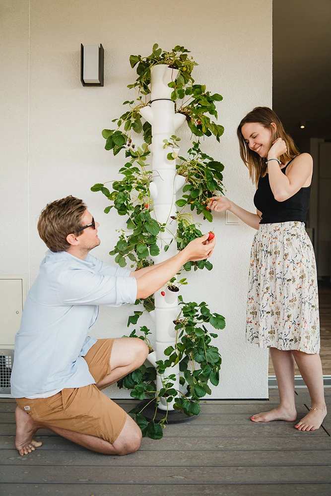 Sissi Strawberry Erdbeerturm Infinity Weiß (10 Etagen) | Erdbeertürme Von Gusta Garden 4 Sissi Strawberry Erdbeerturm Infinity Weiß (10 Etagen) | Erdbeertürme Von Gusta Garden – Bild 2