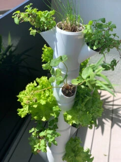 Sissi Strawberry Erdbeerturm Infinity Anthrazit (10 Etagen) | Erdbeertürme Von Gusta Garden -Garten- Und Outdoor-Geschäfte 543344 Sissi Strawberry Erdbeerturm infinity anthrazit 10 Etagen 101529 gg 4