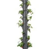 Sissi Strawberry Erdbeerturm Infinity Anthrazit (10 Etagen) | Erdbeertürme Von Gusta Garden 1 Sissi Strawberry Erdbeerturm Infinity Anthrazit (10 Etagen) | Erdbeertürme Von Gusta Garden -Garten- Und Outdoor-Geschäfte 543344 Sissy Strawberry infinity anthrazit 10 Etagen