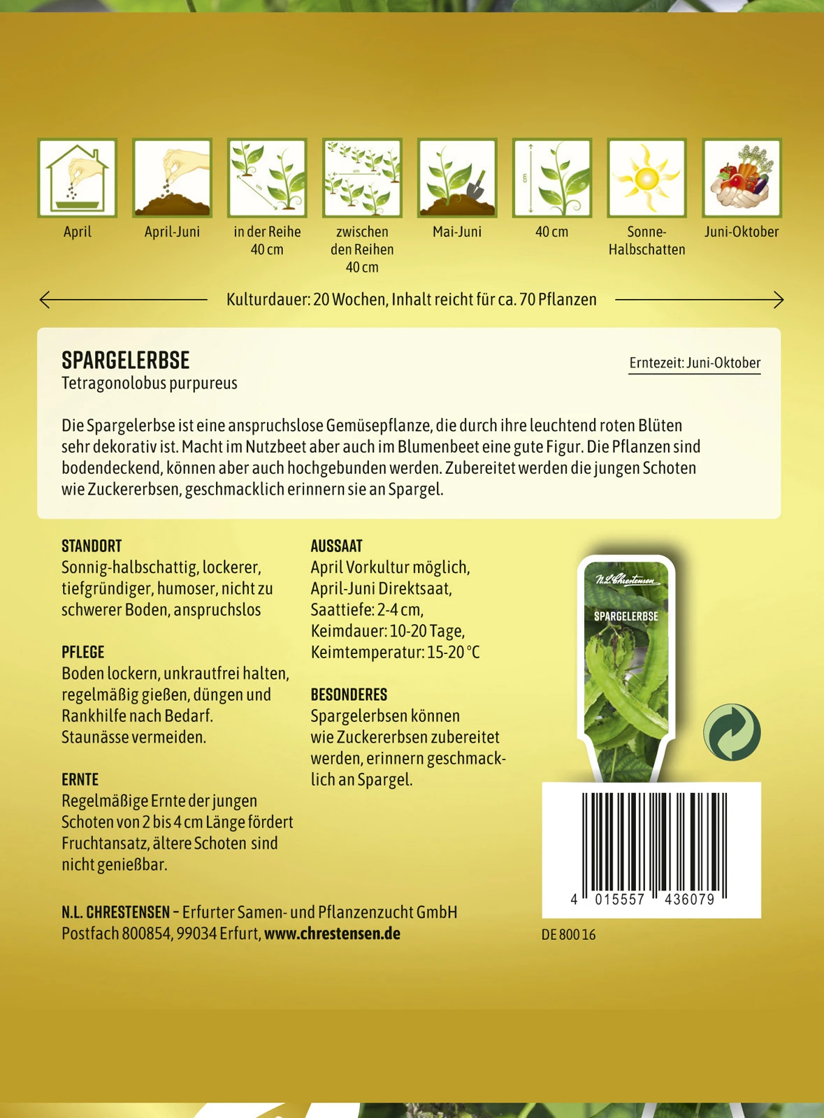 Spargelerbse | Erbsensamen Von N.L. Chrestensen 4 Spargelerbse | Erbsensamen Von N.L. Chrestensen – Bild 2