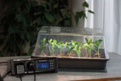 Gewächshaus Climatic M Mit LED | Zimmergewächshaus Von Romberg