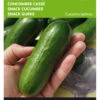 Snackgurke Iznik F1 | Minigurkensamen Von Buzzy Seeds [MHD 07/2024] -Garten- Und Outdoor-Geschäfte 544713 Buzzy Snackgurke Iznik F1