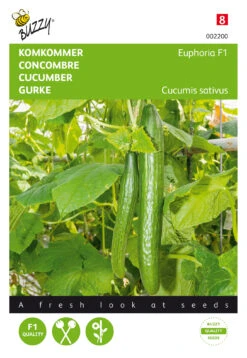 Gurke Euphoria F1 | Gurkensamen Von Buzzy Seeds [MHD 07/2024]