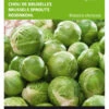 Rosenkohl Topline F1 | Rosenkohlsamen Von Buzzy Seeds [MHD 07/2024] -Garten- Und Outdoor-Geschäfte 544732 Buzzy Rosenkohl Topline F1