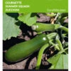 Zucchini Black Forest F1 | Zucchinisamen Von Buzzy Seeds [MHD 07/2024] -Garten- Und Outdoor-Geschäfte 544858 Buzzy Zucchini Black Forest F1