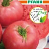 Tomate Rose Crush F1 | Tomatensamen Von Samen Pfann 1 Tomate Rose Crush F1 | Tomatensamen Von Samen Pfann -Garten- Und Outdoor-Geschäfte 546091 Tomate Rose Crush F1 G859 sp 0
