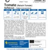 Fleisch - Tomate Buffalosun F1 | Fleischtomatensamen Von Kiepenkerl -Garten- Und Outdoor-Geschäfte 547439 Fleisch Tomate Buffalosun F1 1