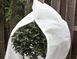 Kübelpflanzensack (80 X 60cm) | Winterschutz Von Gardissimo