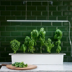 LED-Pflanzenleuchte Mit Adapter 23W (85 Cm) | Beleuchtung Von Nelson Garden -Garten- Und Outdoor-Geschäfte 547623 LED Pflanzeneuchte mit Adapter 23W 85 cm 5567A ng 2