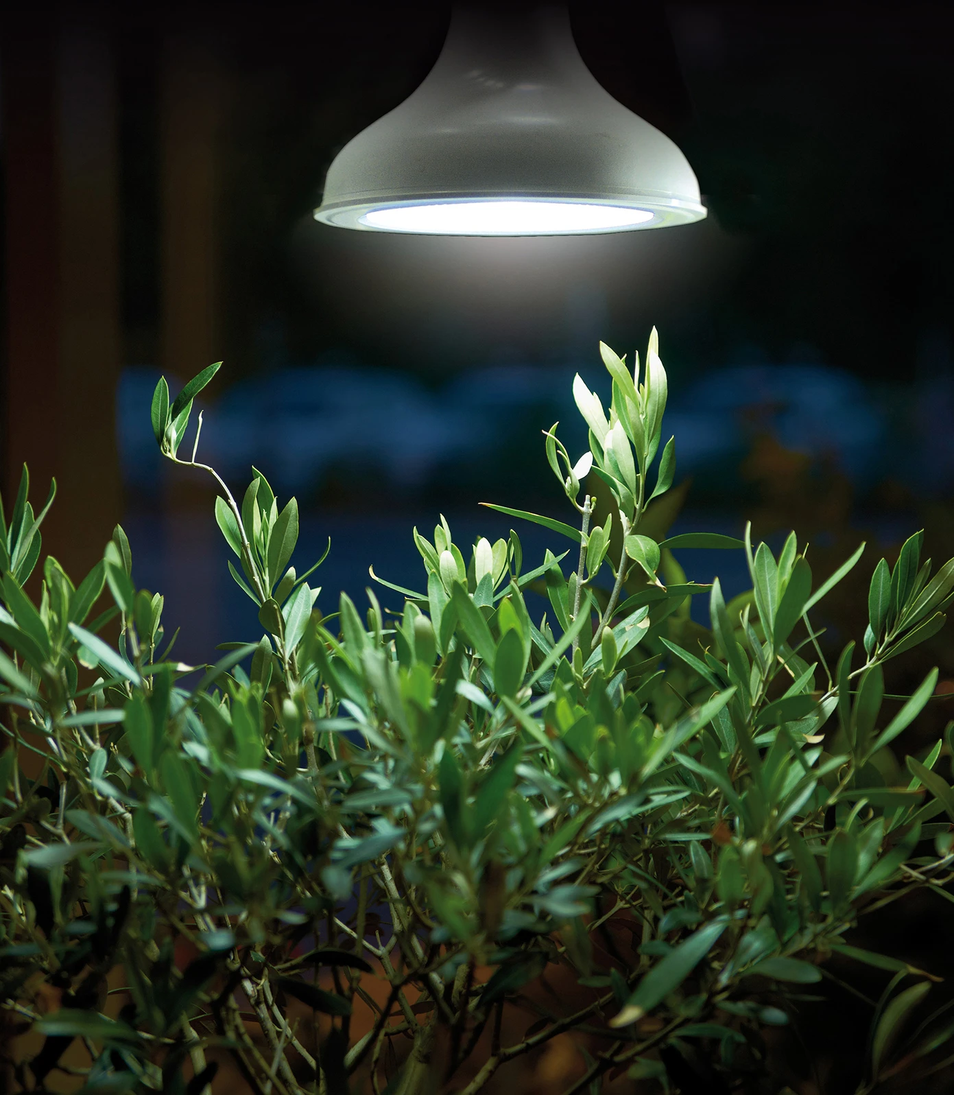 LED-Pflanzeneuchte 18W E27 | Beleuchtung Von Nelson Garden 3 LED-Pflanzeneuchte 18W E27 | Beleuchtung Von Nelson Garden