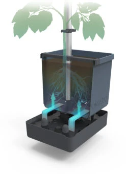 Tom Tomato Tomatentopf Blau | Tomatentöpfe Von Gusta Garden 9 Tom Tomato Tomatentopf Blau | Tomatentöpfe Von Gusta Garden -Garten- Und Outdoor-Geschäfte 547959 Tom Tomato Blau 2