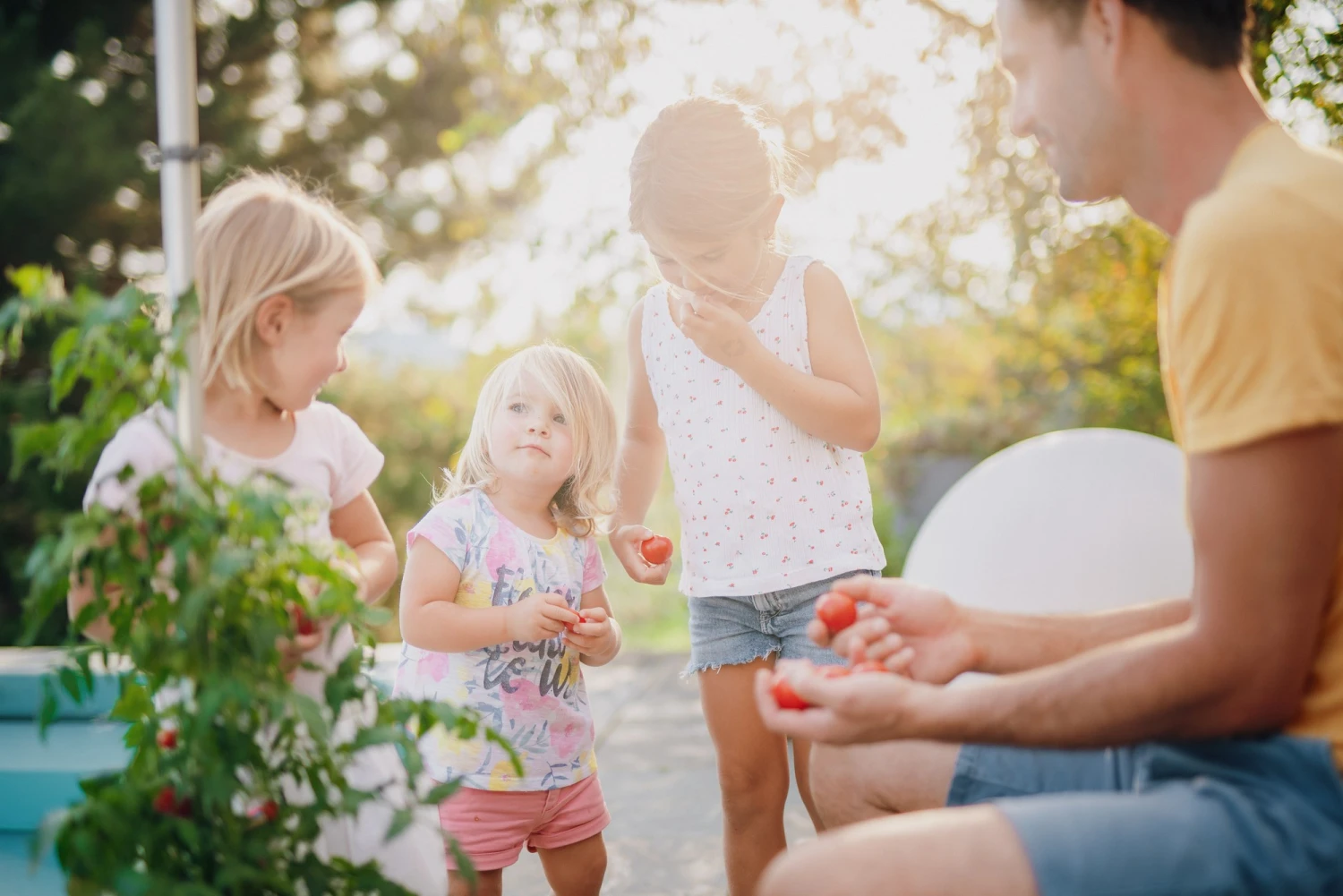 Tom Tomato Tomatentopf Blau | Tomatentöpfe Von Gusta Garden 6 Tom Tomato Tomatentopf Blau | Tomatentöpfe Von Gusta Garden – Bild 4