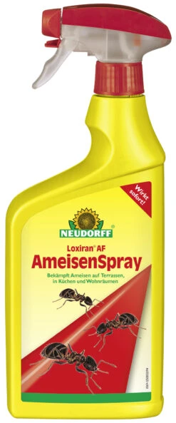 Loxiran AF AmeisenSpray (250 Ml) | Fallen Und Fernhaltemittel Von Neudorff