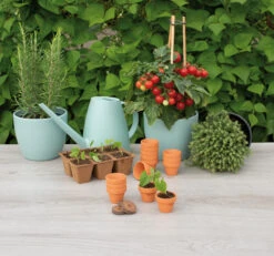 4 X 4,8 Cm Terracotta Töpfe (12 Stück) | Anzuchttöpfe Von Sogo -Garten- Und Outdoor-Geschäfte 548517 4 x 4 8 cm Terracotta Toepfe 12 Stueck 887320 sg 3