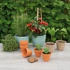 6,8 X 8 Cm Terracotta Töpfe (7 Stück) | Anzuchttöpfe Von Sogo -Garten- Und Outdoor-Geschäfte 548519 6 8 x 8 cm Terracotta Toepfe 7 Stueck 887324 sg 3