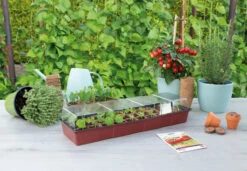 Fensterbank Gewächshaus | Zimmergewächshaus Von Sogo -Garten- Und Outdoor-Geschäfte 548522 Fensterbank Gewaechshaus 887340 sg 2