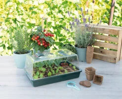 Gewächshaus Mit Belüftung | Zimmergewächshaus Von Sogo -Garten- Und Outdoor-Geschäfte 548525 Gewaechshaus mit Belueftung 887346 sg 3