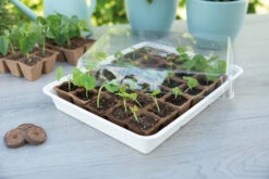 Eco Propagator (30 Töpfe) | Anzuchtschalen Von Sogo -Garten- Und Outdoor-Geschäfte 548526 Eco Propagator mit 30 Torftoepfen 887348 sg 3