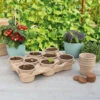 Eco Topfplatte | Anzuchtschalen Von Sogo -Garten- Und Outdoor-Geschäfte 548528 Eco Topfplatte 887352 sg 2