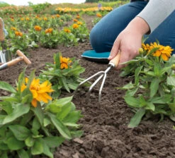 Handharke | Gartengeräte Von Sogo -Garten- Und Outdoor-Geschäfte 548544 Handharke 887436 sg 3