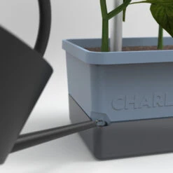 Charly Chili Chilitopf Blau | Chilitöpfe Von Gusta Garden 9 Charly Chili Chilitopf Blau | Chilitöpfe Von Gusta Garden -Garten- Und Outdoor-Geschäfte 548626 Charly Chili Chilitopf blau 104710 gg 3