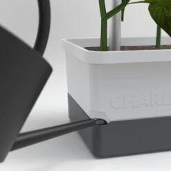 Charly Chili Chilitopf Hellgrau | Chilitöpfe Von Gusta Garden -Garten- Und Outdoor-Geschäfte 548628 Charly Chili Chilitopf hellgrau 100710 gg 3