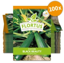 Zucchini Black Beauty (100 Stück) | Zucchinisamen Von FLORTUS 7 Zucchini Black Beauty (100 Stück) | Zucchinisamen Von FLORTUS -Garten- Und Outdoor-Geschäfte 549854 Zucchini Black Beauty 100 Stueck 2000 0471 100x 0