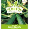 Zucchini Black Beauty (100 Stück) | Zucchinisamen Von FLORTUS