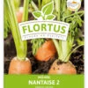 Möhre Nantaise 2 (100 Stück) | Möhrensamen Von FLORTUS -Garten- Und Outdoor-Geschäfte 549855 Moehre Nantaise 2 100 Stueck 2000 0472 100x 1