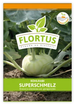 Kohlrabi Superschmelz (100 Stück) | Kohlrabisamen Von FLORTUS -Garten- Und Outdoor-Geschäfte 549856 Kohlrabi Superschmelz 100 Stueck 2000 0473 100x 1