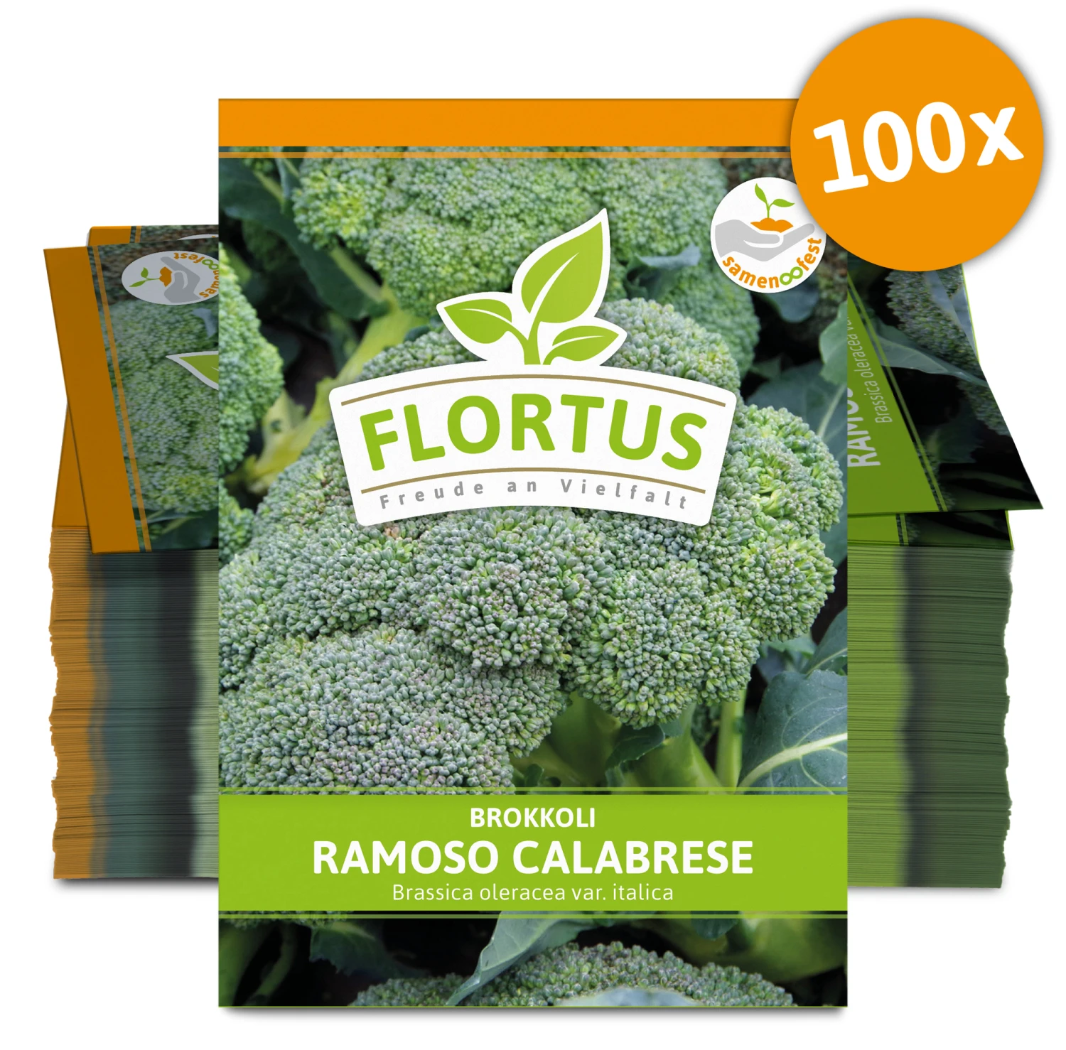 Brokkoli Ramoso Calabrese (100 Stück) | Brokkolisamen Von FLORTUS 5 Brokkoli Ramoso Calabrese (100 Stück) | Brokkolisamen Von FLORTUS – Bild 3