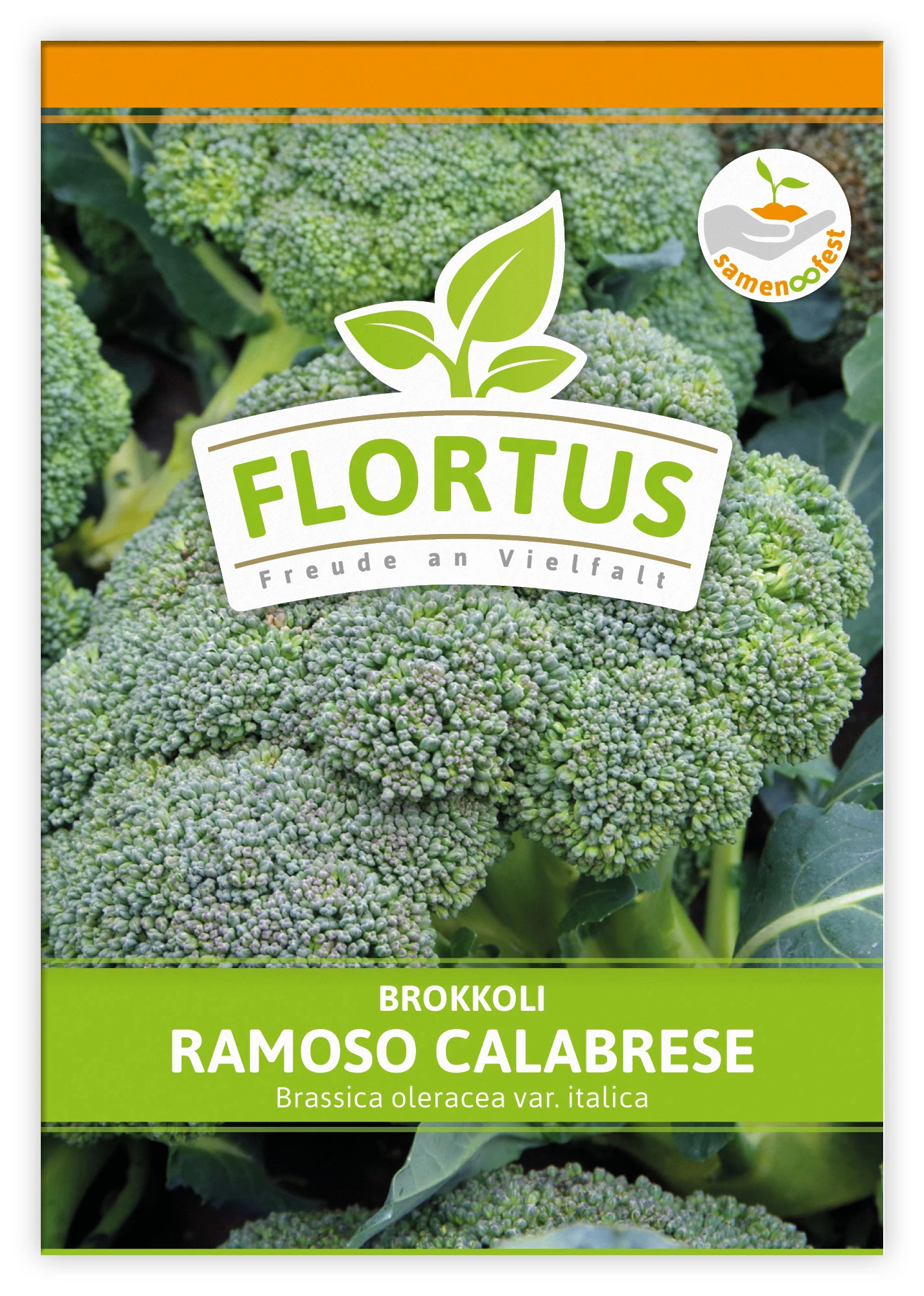 Brokkoli Ramoso Calabrese (100 Stück) | Brokkolisamen Von FLORTUS 3 Brokkoli Ramoso Calabrese (100 Stück) | Brokkolisamen Von FLORTUS