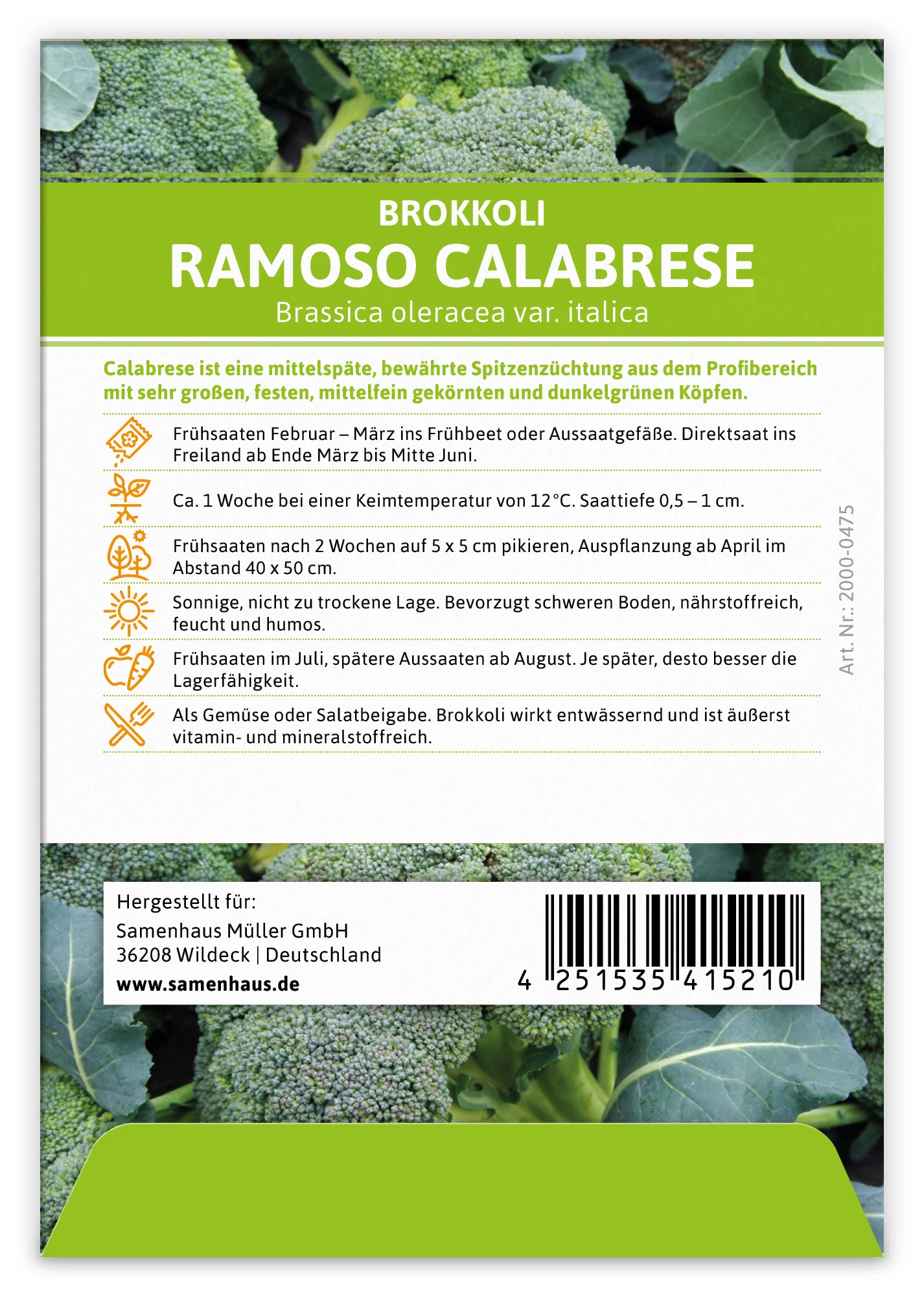Brokkoli Ramoso Calabrese (100 Stück) | Brokkolisamen Von FLORTUS 4 Brokkoli Ramoso Calabrese (100 Stück) | Brokkolisamen Von FLORTUS – Bild 2