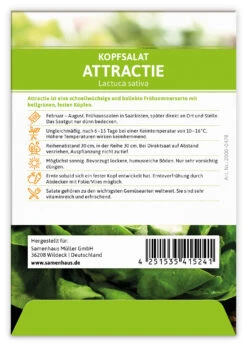 Kopfsalat Attractie (100 Stück) | Kopfsalatsamen Von FLORTUS