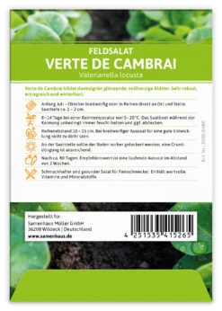 Feldsalat Verte De Cambrai (100 Stück) | Feldsalatsamen Von FLORTUS -Garten- Und Outdoor-Geschäfte 549863 Feldsalat Verte de Cambrai 100 Stueck 2000 0480 100x 2
