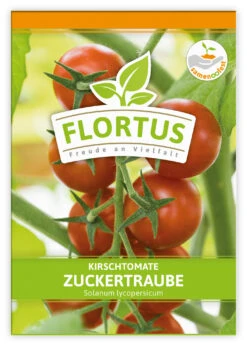 Kirschtomate Zuckertraube (100 Stück) | Kirschtomatensamen Von FLORTUS -Garten- Und Outdoor-Geschäfte 549864 Kirschtomate Zuckertraube 100 Stueck 2000 0481 100x 1