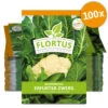 Blumenkohl Erfurter Zwerg (100 Stück) | Blumenkohlsamen Von FLORTUS -Garten- Und Outdoor-Geschäfte 549866 Blumenkohl Erfurter Zwerg 100 Stueck 2000 0483 100x 0