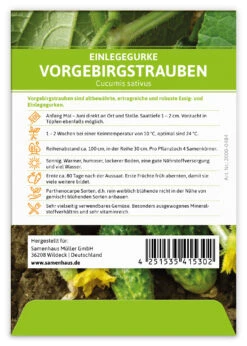 Einlegegurke Vorgebirgstrauben (100 Stück) | Einlegegurkensamen Von FLORTUS -Garten- Und Outdoor-Geschäfte 549867 Einlegegurke Vorgebirgstrauben 100 Stueck 2000 0484 100x 2