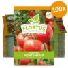 Tomate Moneymaker (100 Stück) | Tomatensamen Von FLORTUS -Garten- Und Outdoor-Geschäfte 549868 Tomate Moneymaker 100 Stueck 2000 0485 100x 0