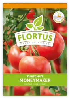 Tomate Moneymaker (100 Stück) | Tomatensamen Von FLORTUS -Garten- Und Outdoor-Geschäfte 549868 Tomate Moneymaker 100 Stueck 2000 0485 100x 1