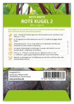 Rote Beete Rote Kugel 2 (100 Stück) | Rote Beetesamen Von FLORTUS -Garten- Und Outdoor-Geschäfte 549870 Rote Beete Rote Kugel 2 100 Stueck 2000 0487 100x 2